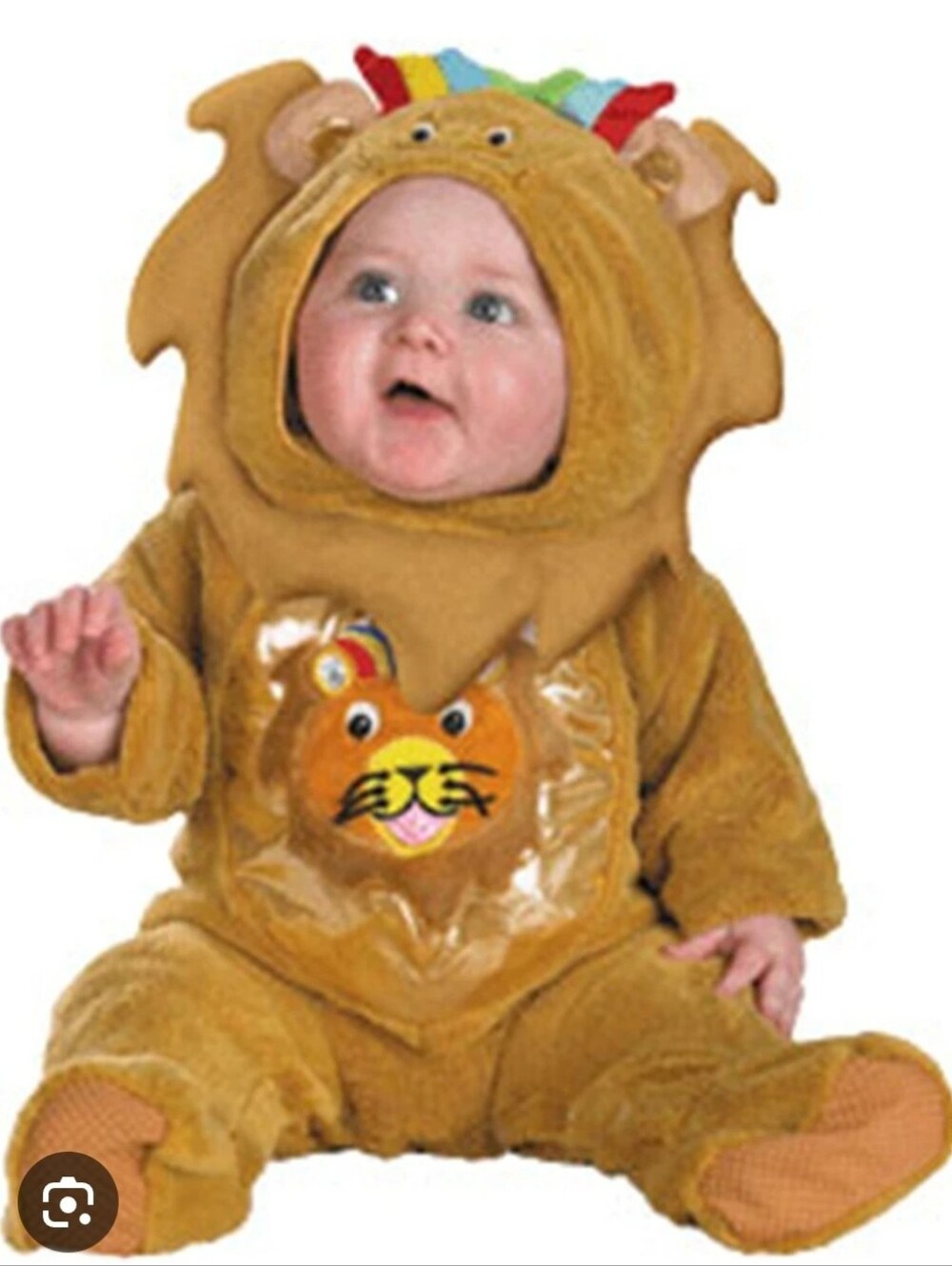 NWT Disguise Baby Einstein Lion Costume